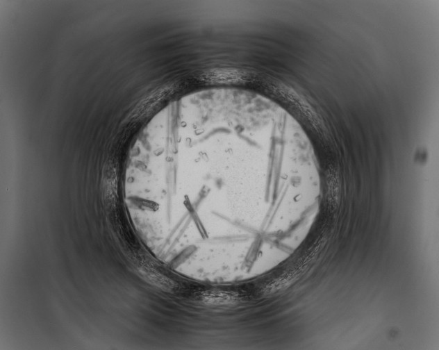 X0000099930549200806201059