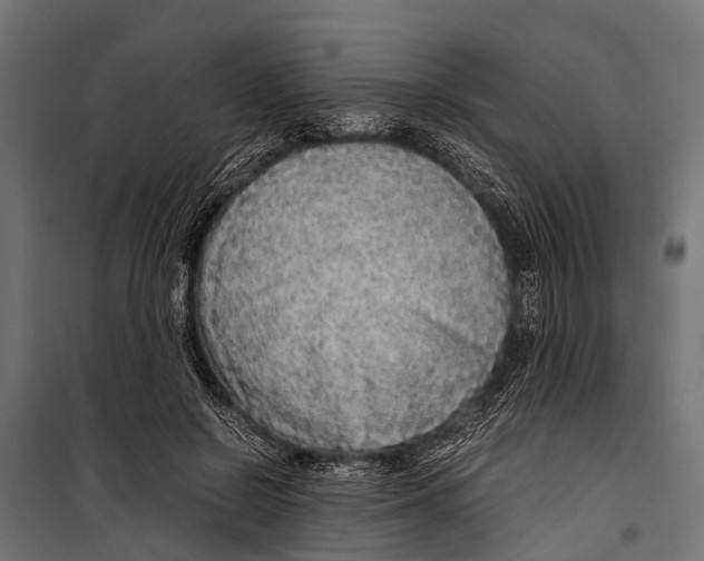 X0000099930550200806201059