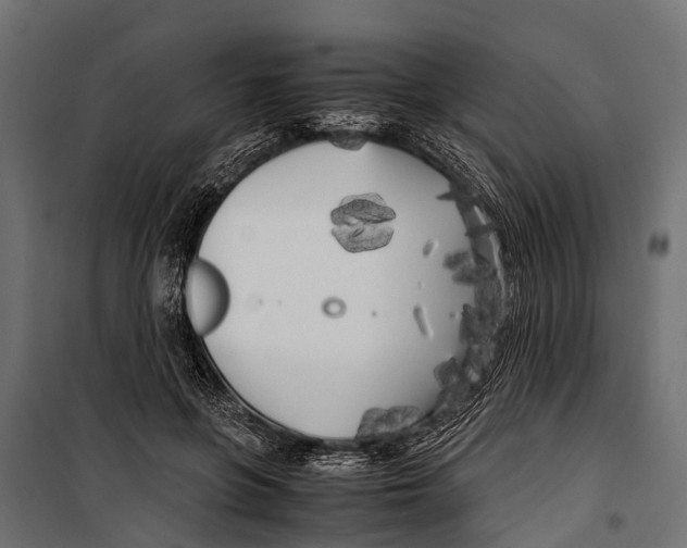 X0000099930551200806201059