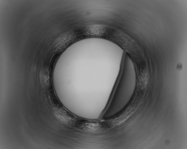 X0000099930552200806201059