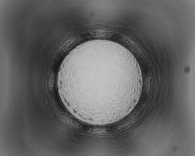 X0000099930554200806201059