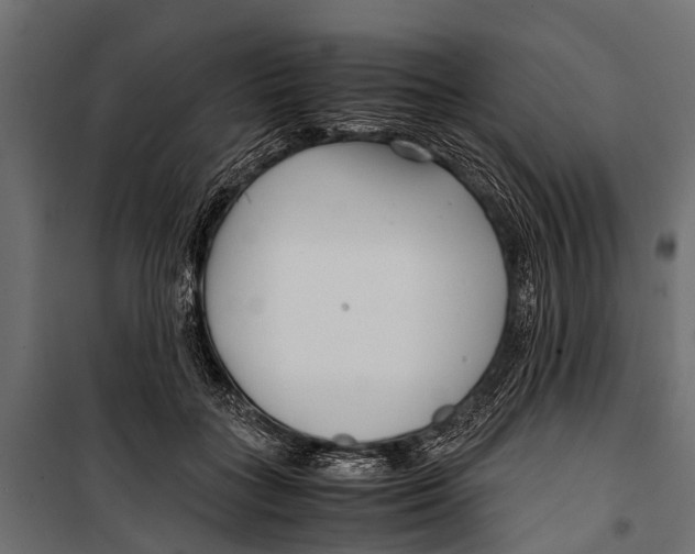 X0000099930555200806201059