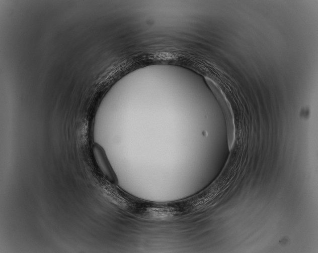 X0000099930556200806201059