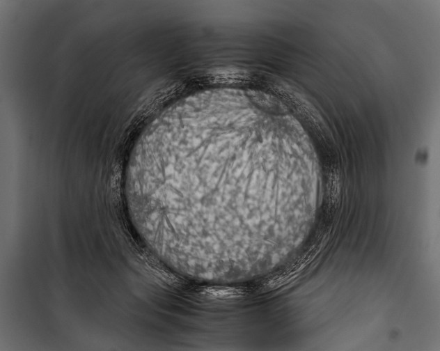 X0000099930557200806201059