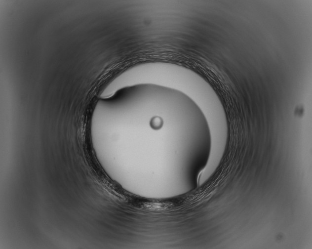 X0000099930558200806201059