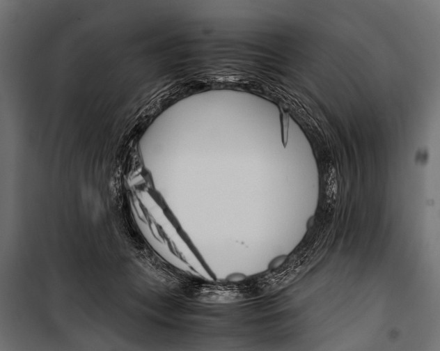 X0000099930559200806201059