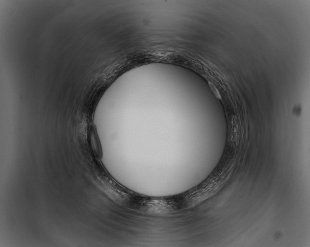 X0000099930562200806201059