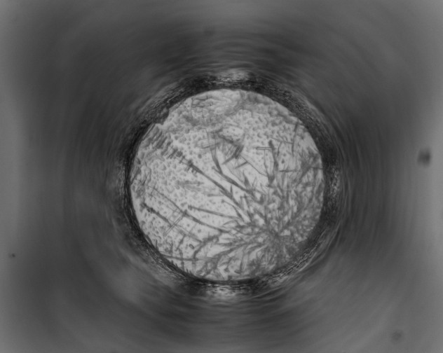 X0000099930565200806201059