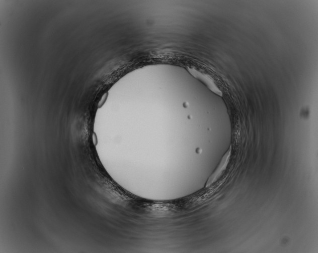 X0000099930566200806201059