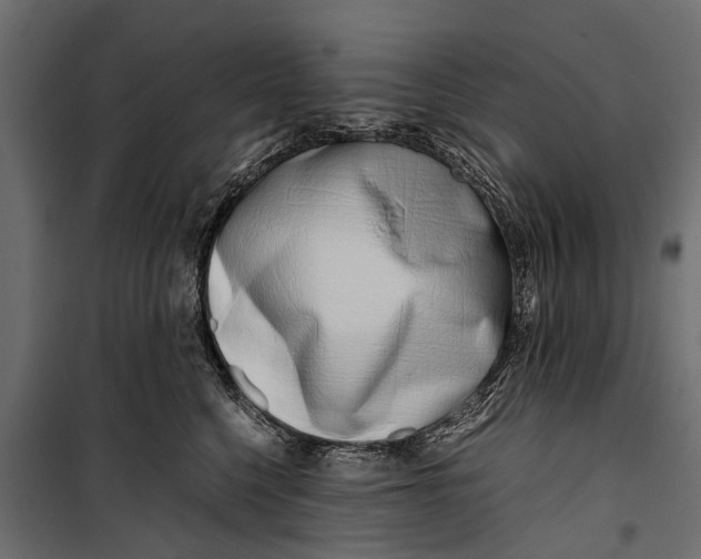 X0000099930568200806201059