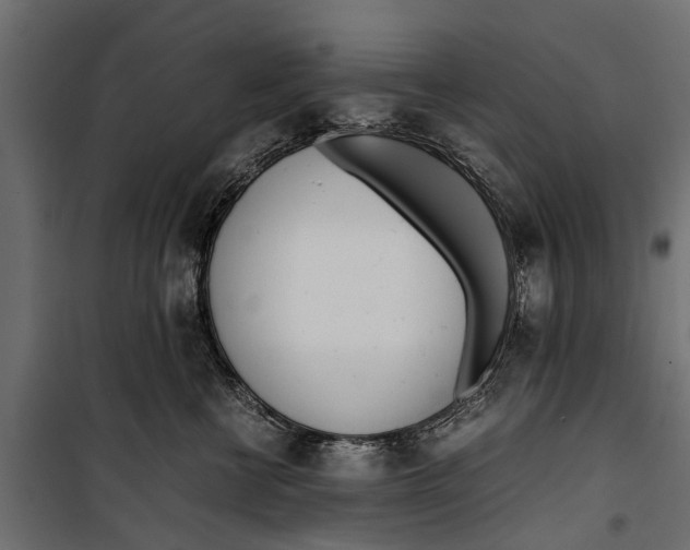 X0000099930570200806201059