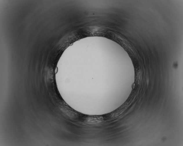 X0000099930571200806201059