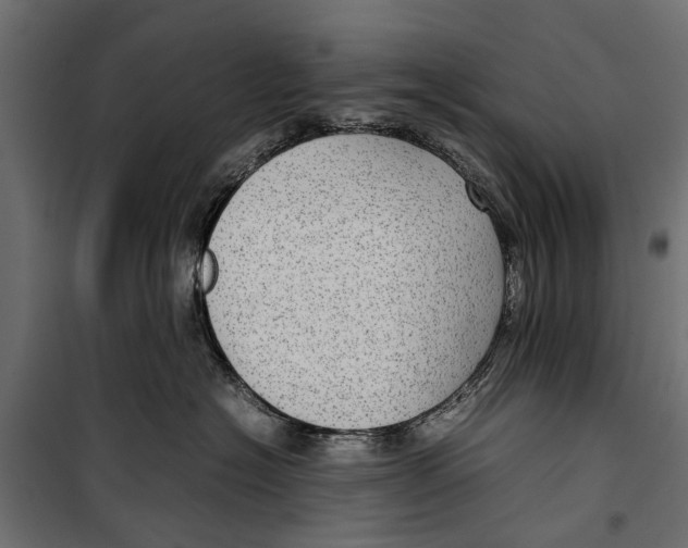 X0000099930574200806201059