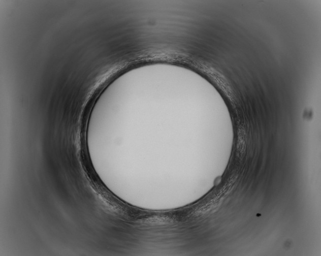 X0000099930578200806201059