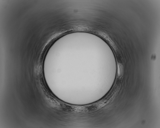 X0000099930579200806201059