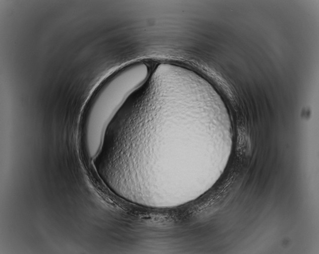 X0000099930580200806201059