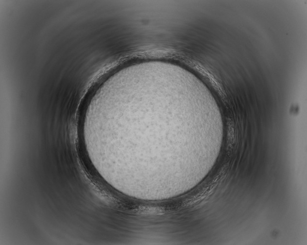 X0000099930582200806201059