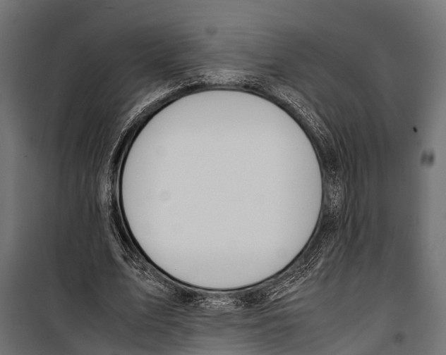 X0000099930583200806201059