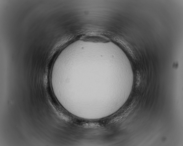 X0000099930586200806201059