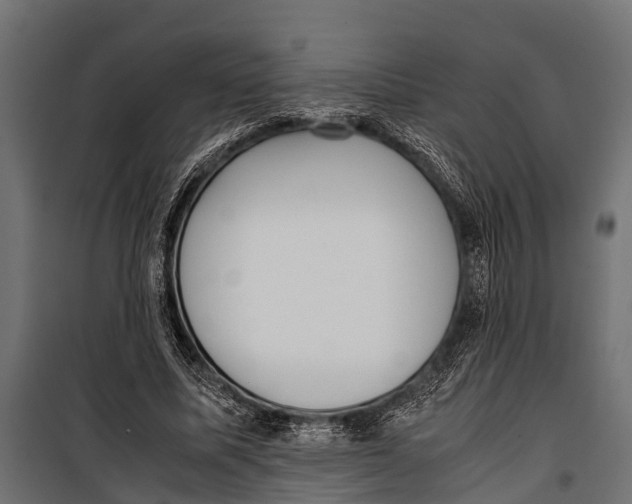 X0000099930587200806201059