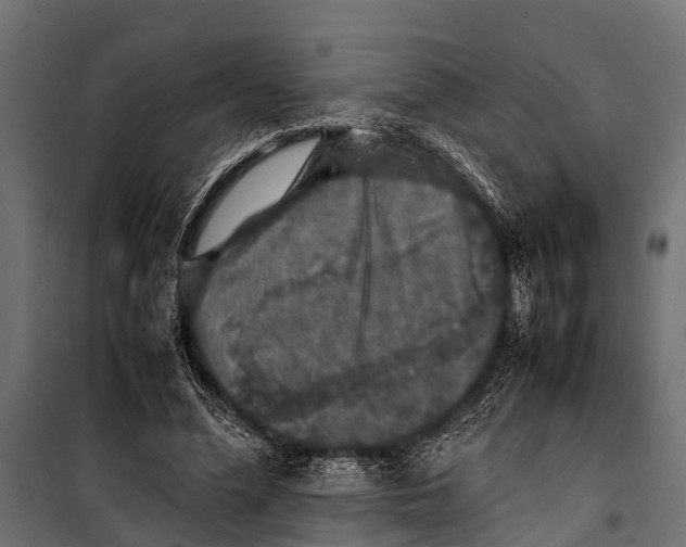 X0000099930588200806201059