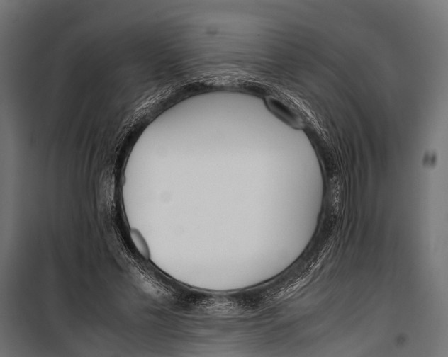 X0000099930589200806201059