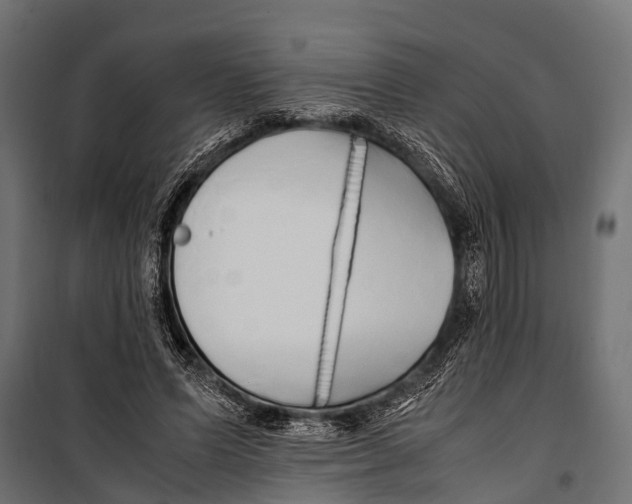 X0000099930591200806201059