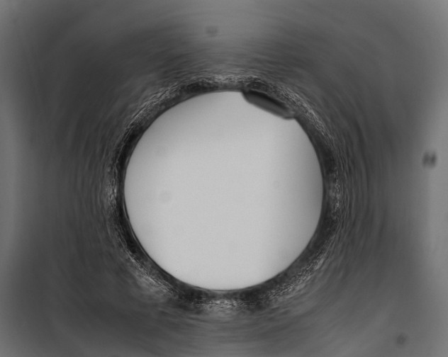 X0000099930593200806201059