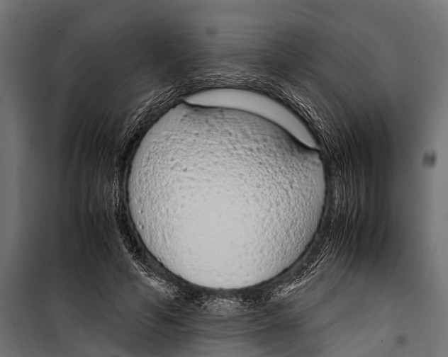 X0000099930594200806201059