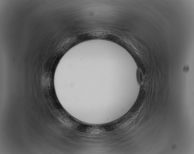 X0000099930597200806201059