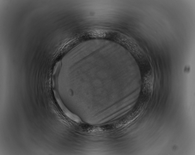 X0000099930600200806201059