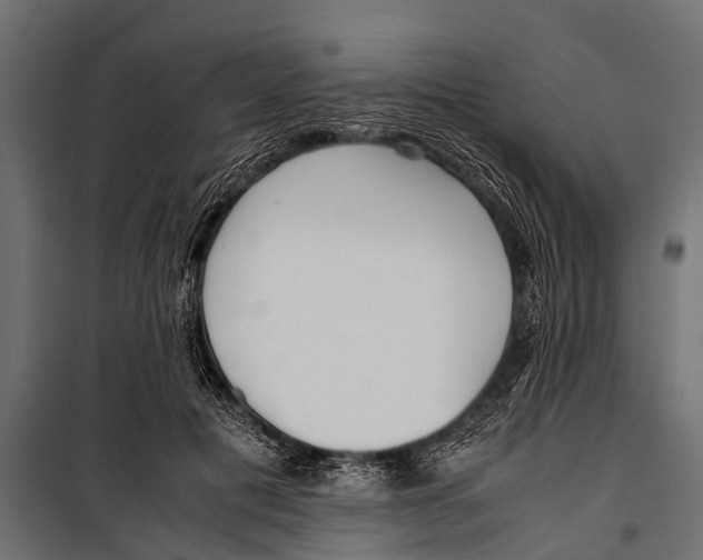 X0000099930601200806201058