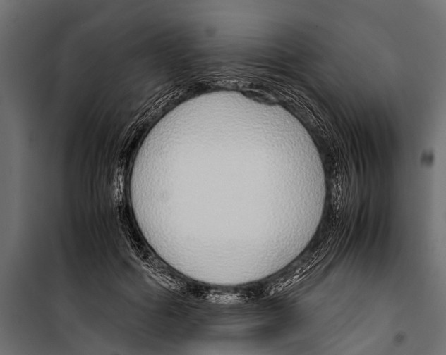 X0000099930602200806201058