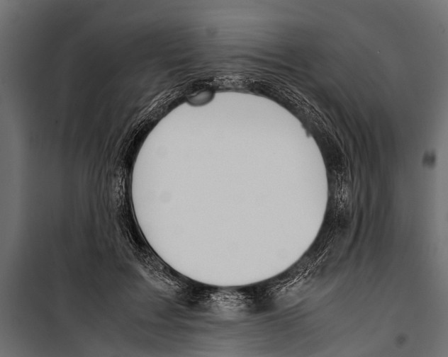 X0000099930603200806201058