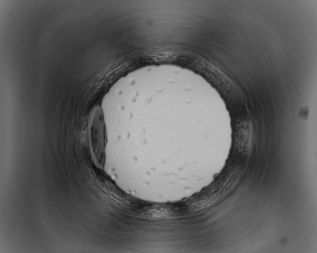 X0000099930604200806201058