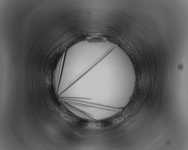 X0000099930606200806201058