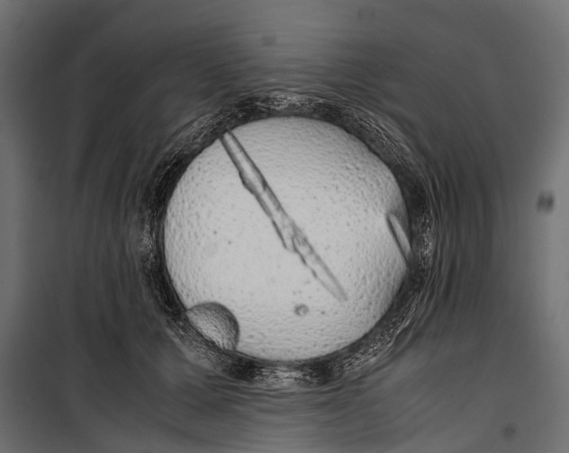 X0000099930607200806201058