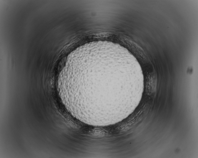 X0000099930608200806201058