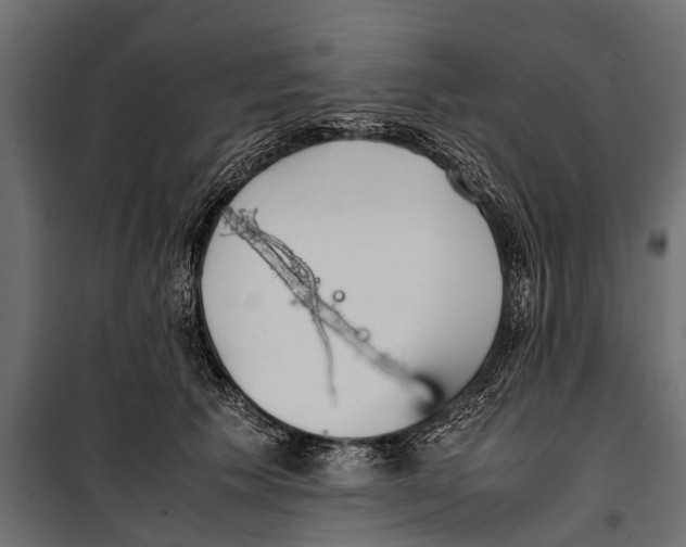 X0000099930609200806201058