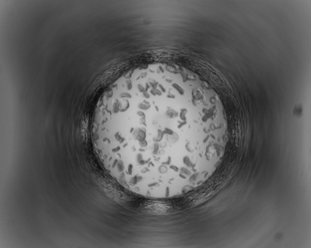 X0000099930610200806201058