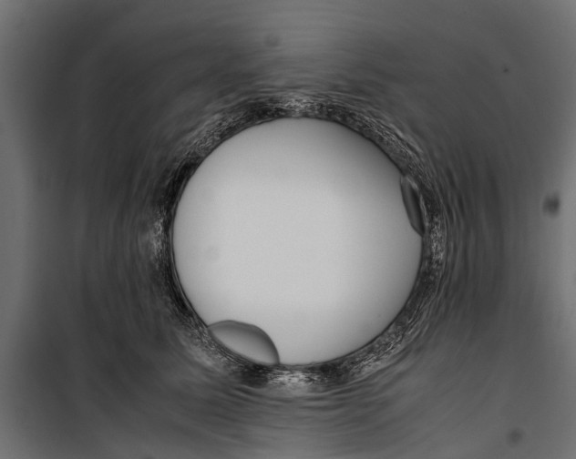 X0000099930611200806201058