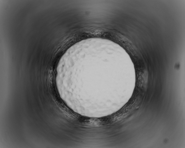 X0000099930612200806201058