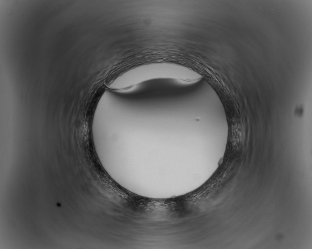 X0000099930613200806201058