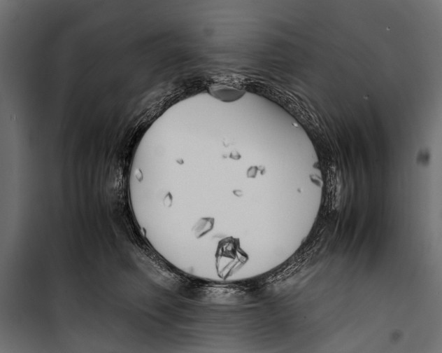 X0000099930614200806201058