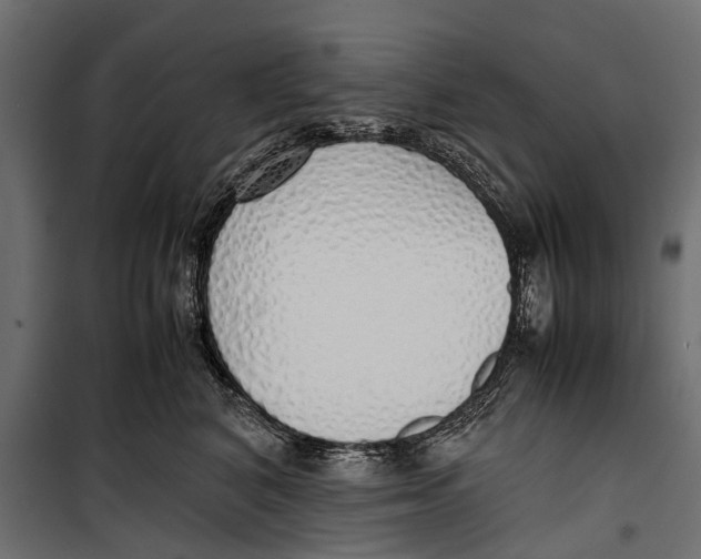 X0000099930616200806201058