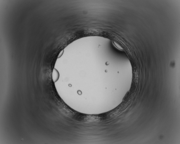 X0000099930617200806201058