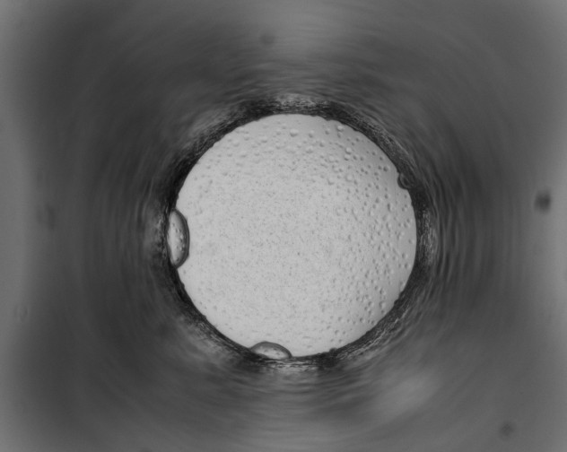 X0000099930619200806201058