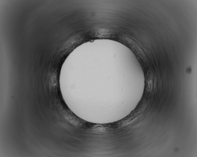 X0000099930620200806201058