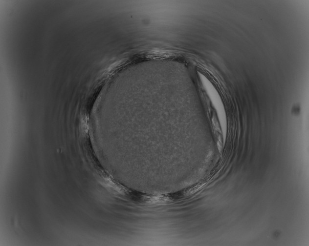 X0000099930621200806201058