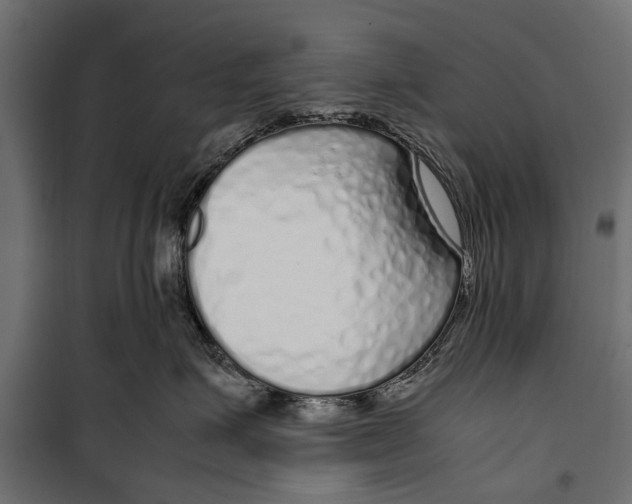 X0000099930623200806201058